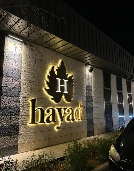 Hayad halo-lit metal letters and leaf emblem on an exterior stone facade at night